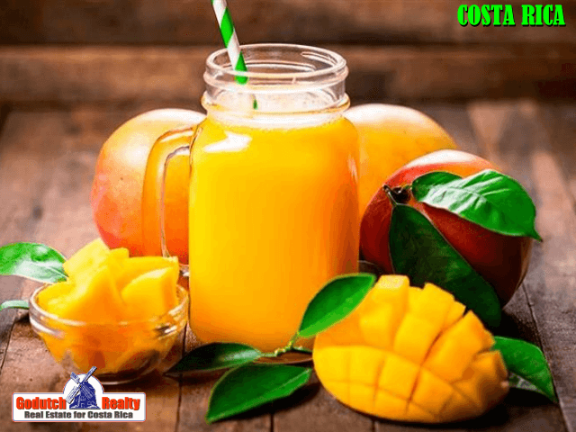 The Mangoes at my Atenas Rental Home keep me awake You can use mangoes for so many things, such as a delicious mango juice