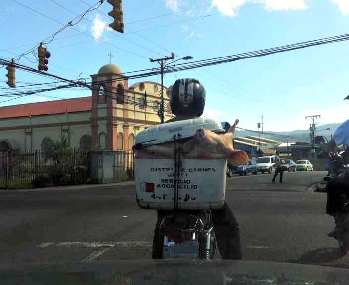 9 Weird ways to transport your belongings in Costa Rica