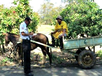 9 Weird ways transporting belongings in Costa Rica