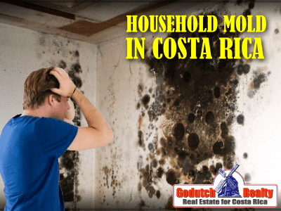 Can household mold in Costa Rica affect your health