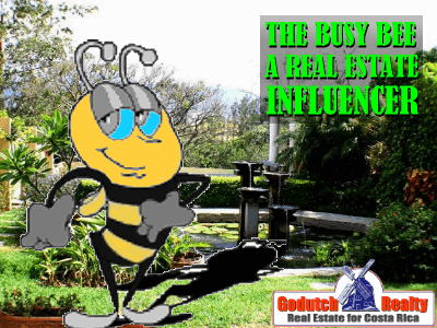Cariari real estate and the busy bee