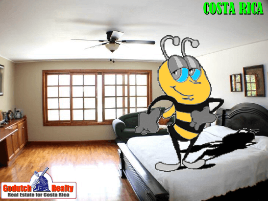 Cariari real estate and the busy bee