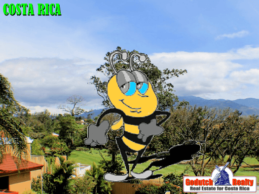 Cariari real estate and the busy bee