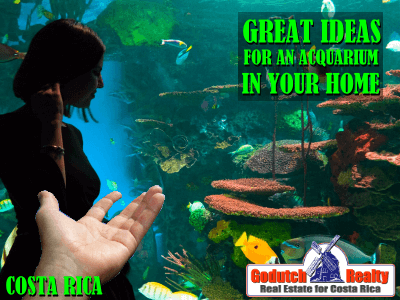 Clever Ways To Decorate Your Home With An Aquarium