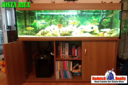 Clever Ways To Decorate Your Home With An Aquarium