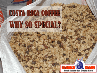 Costa Rican Coffee – What Makes It So Special?