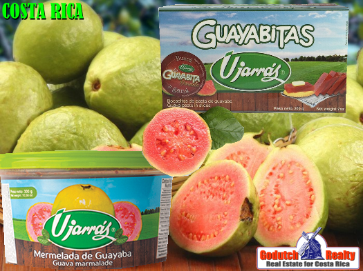De pura guava o de chiripa for lucky people en Costa Rica