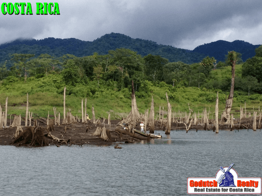 Looking After The Trees In Your Costa Rican Garden