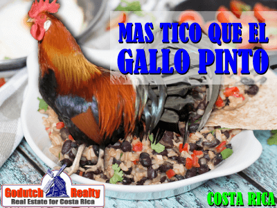 Más Tico que el Gallo Pinto