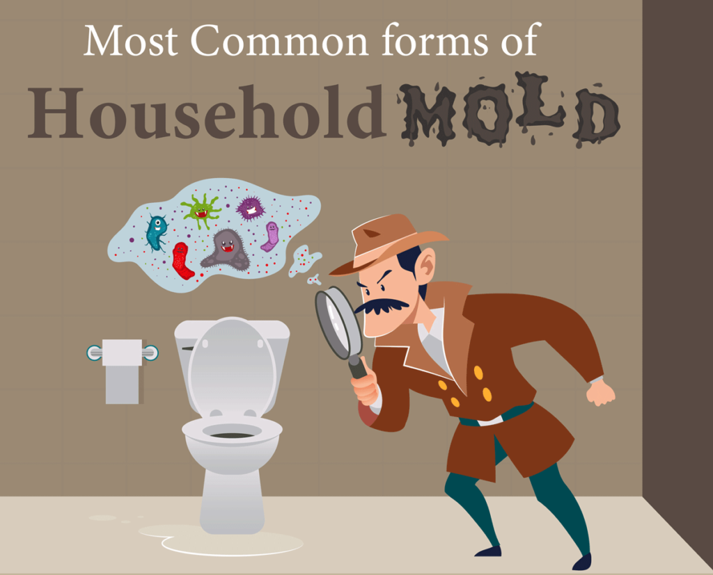Most Common Forms of Household Mold - Cover