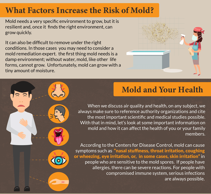 Most Common Forms of Household Mold - pic 3