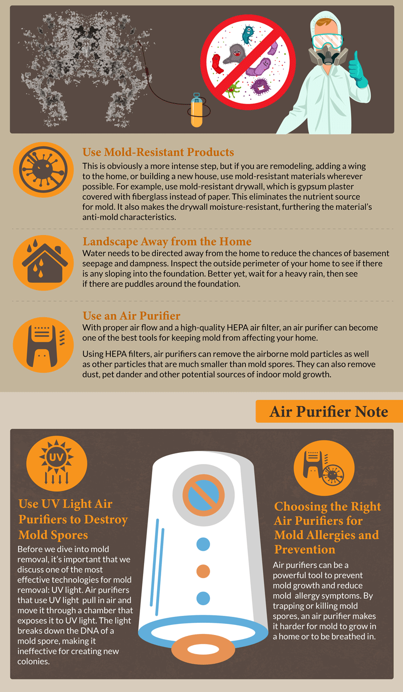 Most Common Forms of Household Mold - pic 5