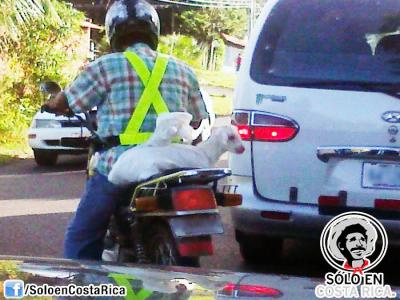 Motorbikes on the roads of Costa Rica