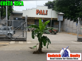 Road Obstacles when driving in Costa Rica