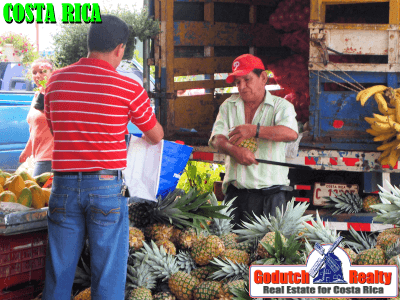 Shopping for an Healthy Diet in Costa Rica