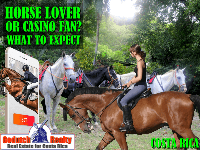 What Can a Horse Lover and a Casino Fan Expect in Costa Rica?