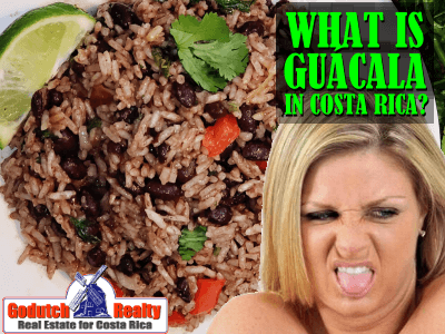 What is guácala en Costa Rica?
