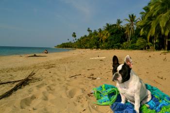 Winter in the US and Canada vs Winter in Costa Rica