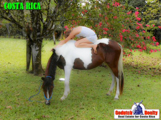 Yoga in Costa Rica in Harmony with Horses