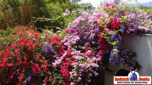 Homes with a flower garden in Atenas