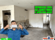 Can household mold in Costa Rica affect your health?